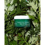 AXIS-Y Mugwort Pore Clarifying Wash Off Pack-Cleanses & Heals